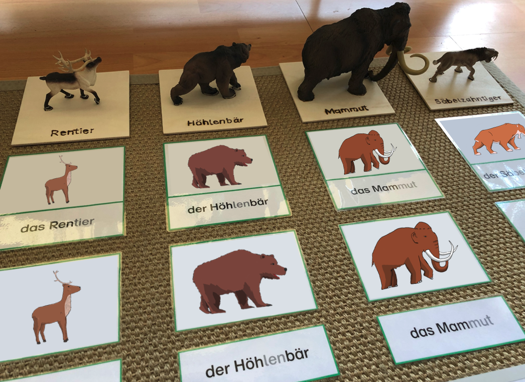 Tiere Der Steinzeit F r Kinder Montessori Ideen de